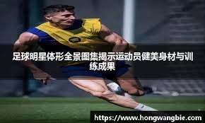 对抗与